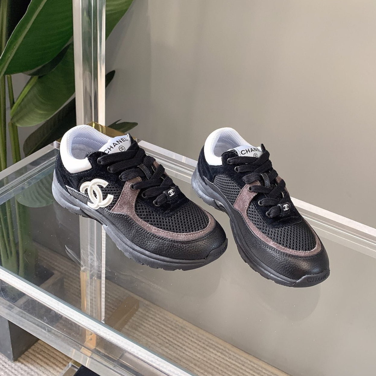 CC Sneaker In Black Mesh Fabric 145611