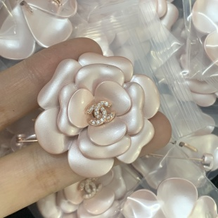 CC Brooch Pink 198305
