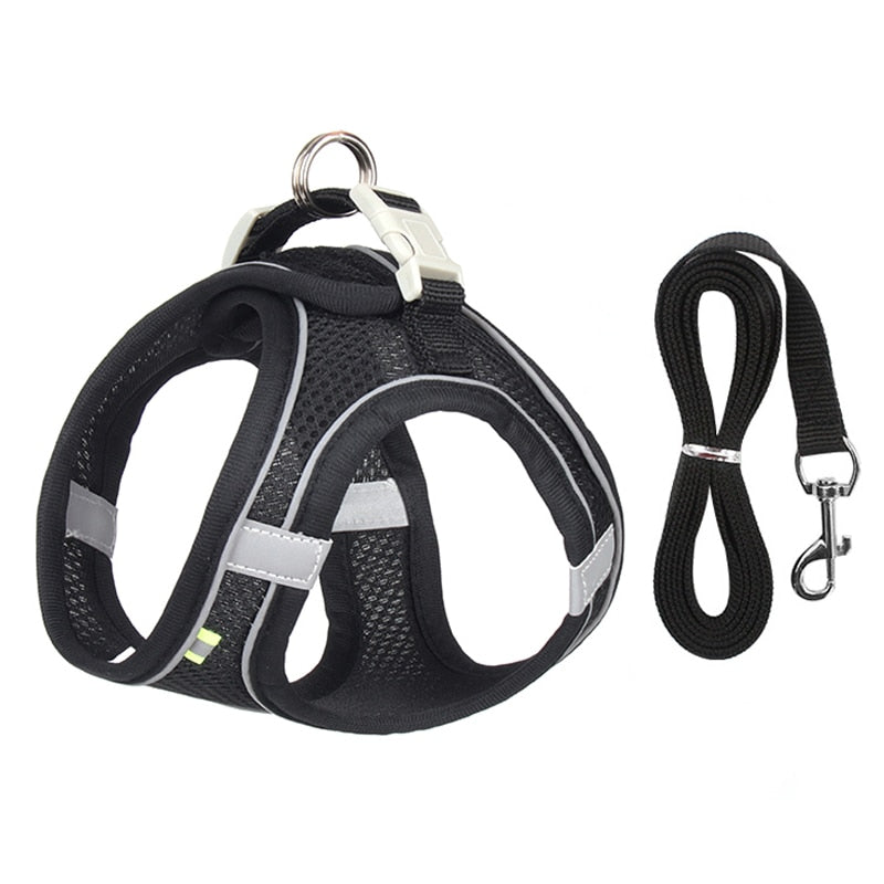 Ensemble Harnais + Laisse maille ultra respirante