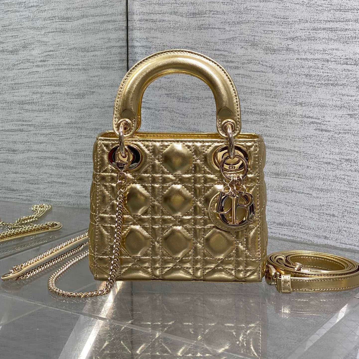 New Dior Bag 2026