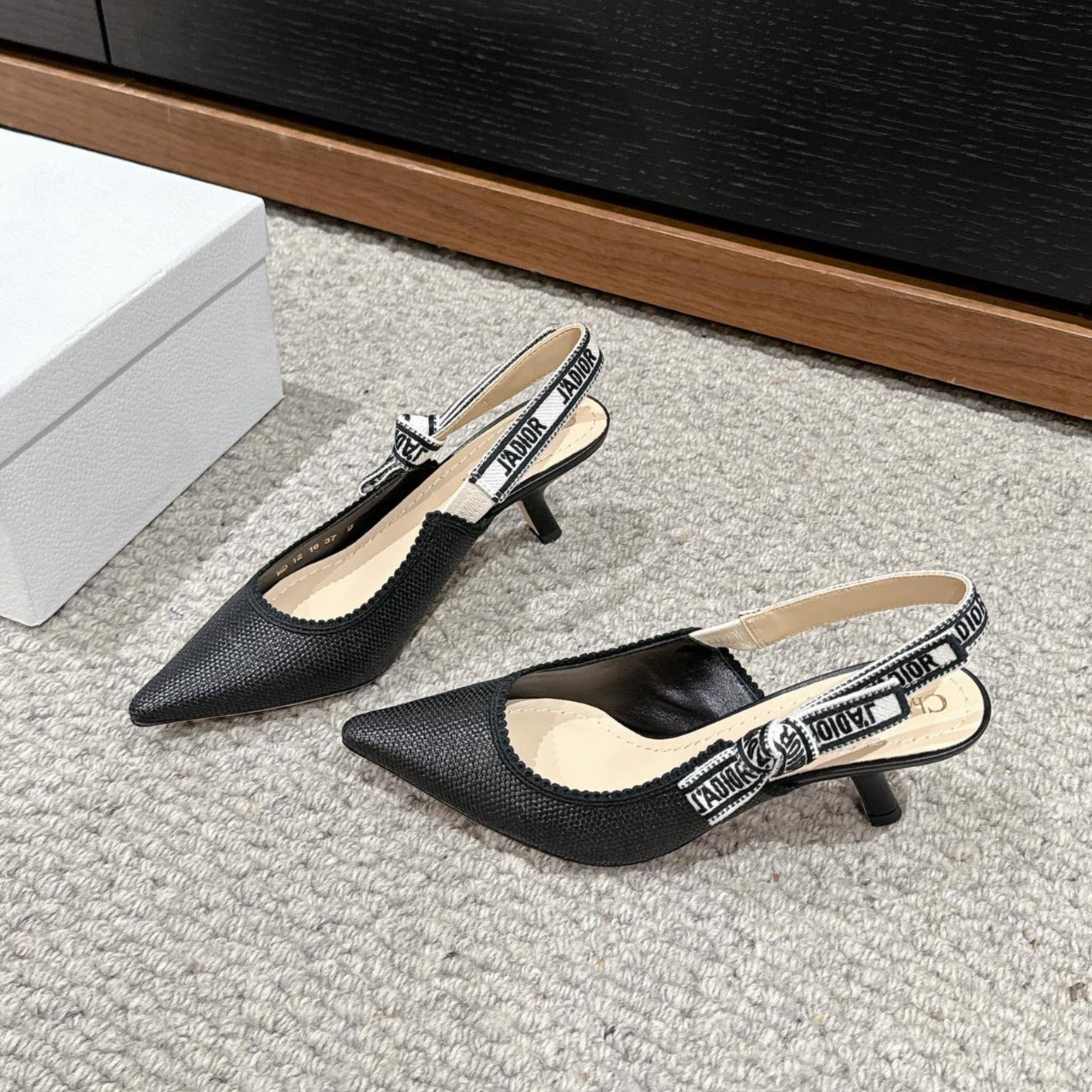 Dior Slingback & Pumps